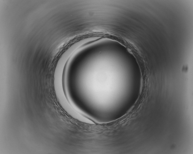 X0000111380776200907241309