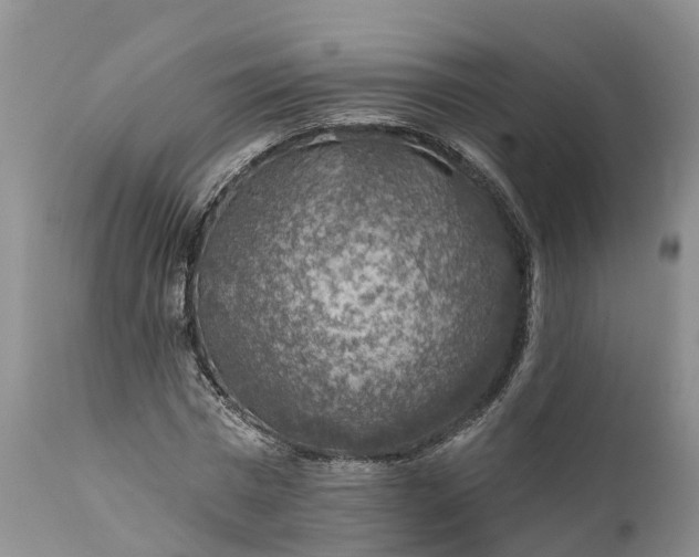 X0000111380777200907241309