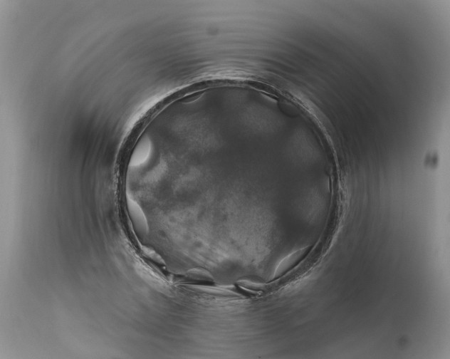 X0000111380779200907241309