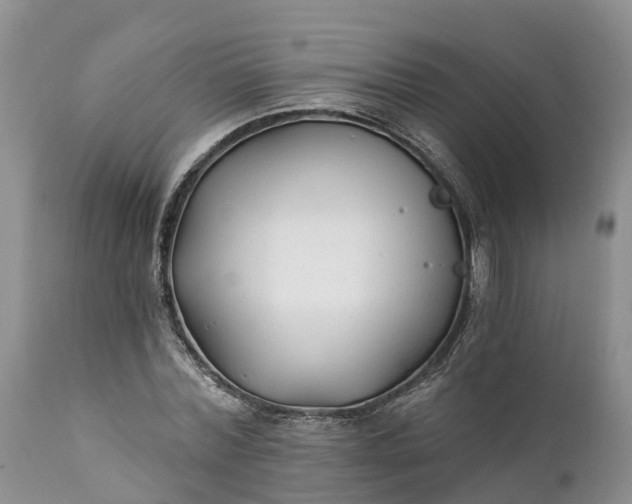 X0000111380780200907241309