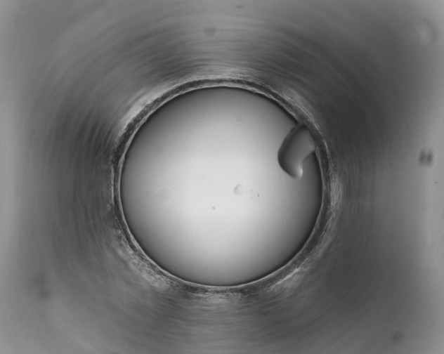 X0000111380781200907241309