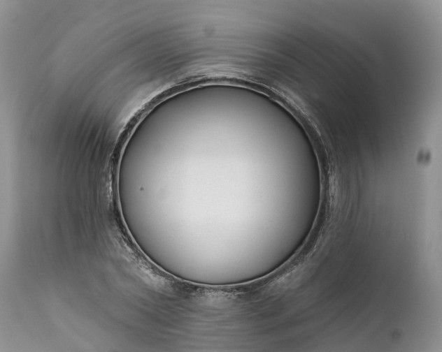 X0000111380782200907241309