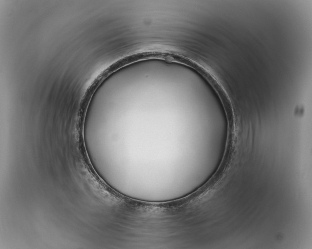 X0000111380783200907241309