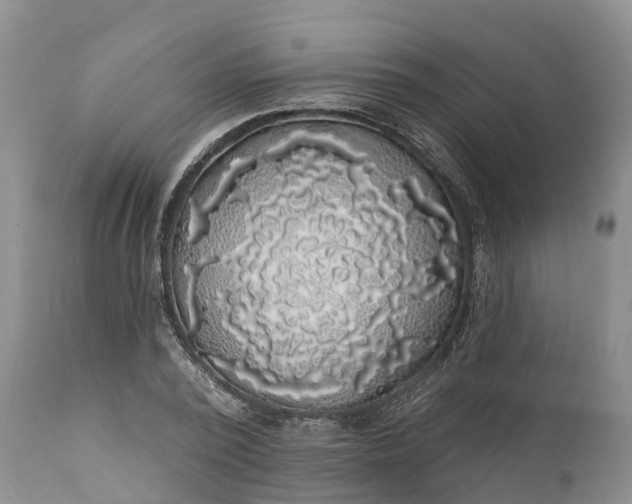 X0000111380784200907241309