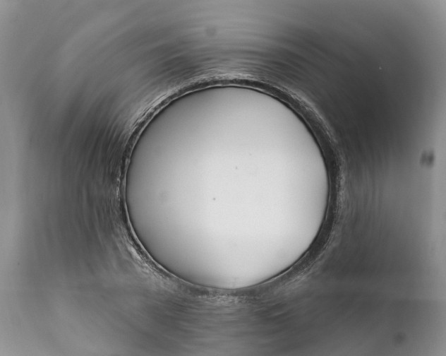 X0000111380785200907241309