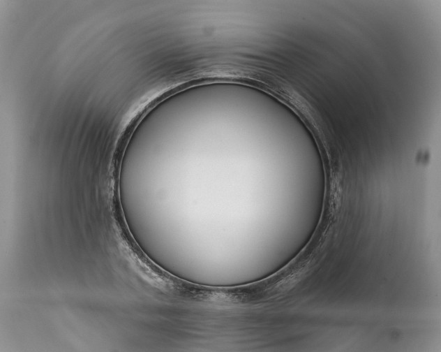 X0000111380787200907241309