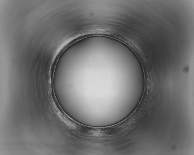 X0000111380792200907241308