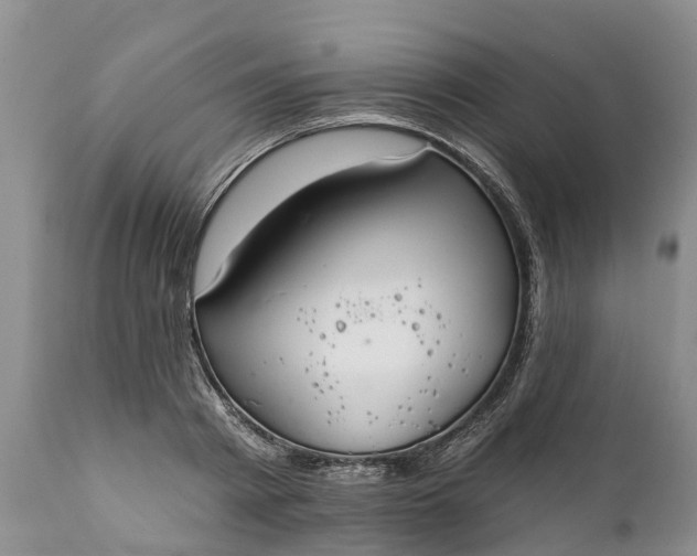 X0000111380793200907241308