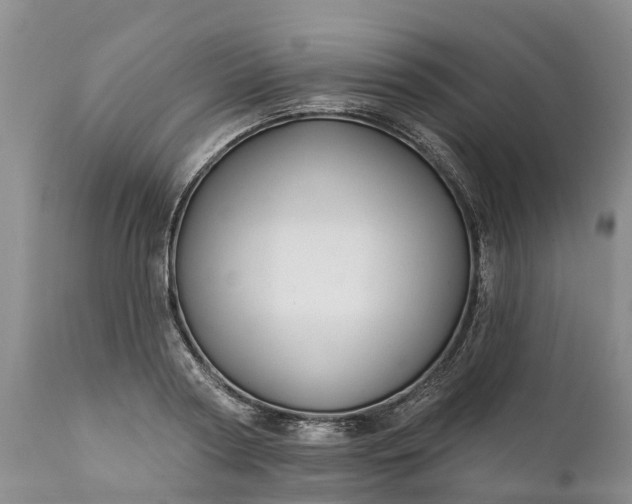 X0000111380794200907241308