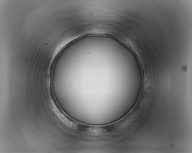 X0000111380795200907241308