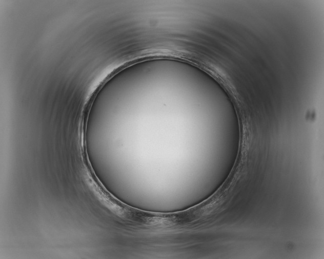 X0000111380796200907241308