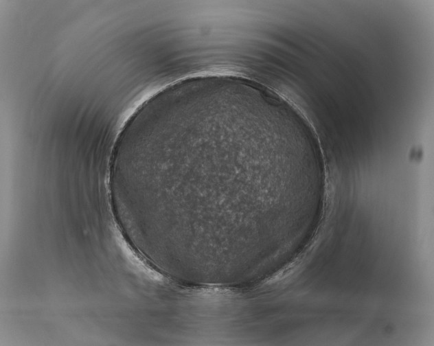 X0000111380797200907241308