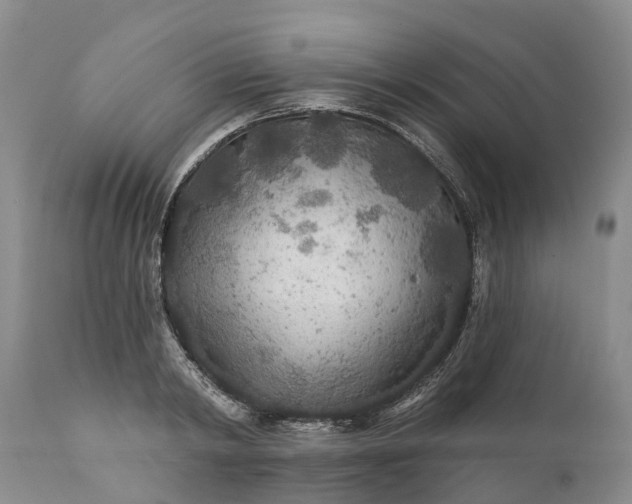 X0000111380798200907241308