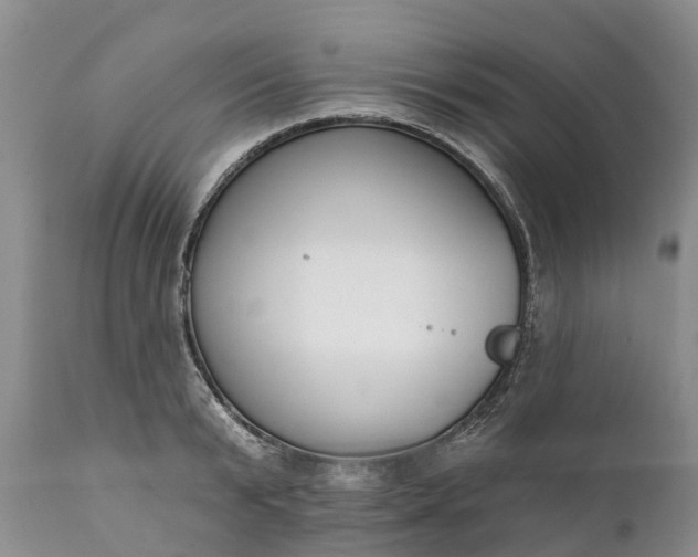 X0000111380799200907241308