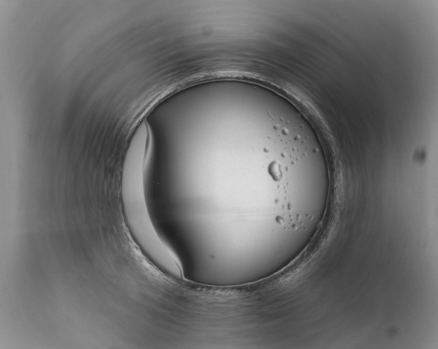 X0000111380801200907241308