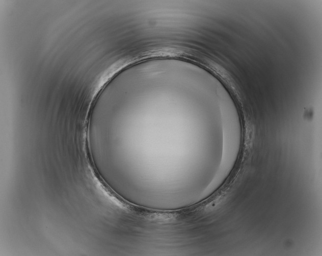 X0000111380802200907241308