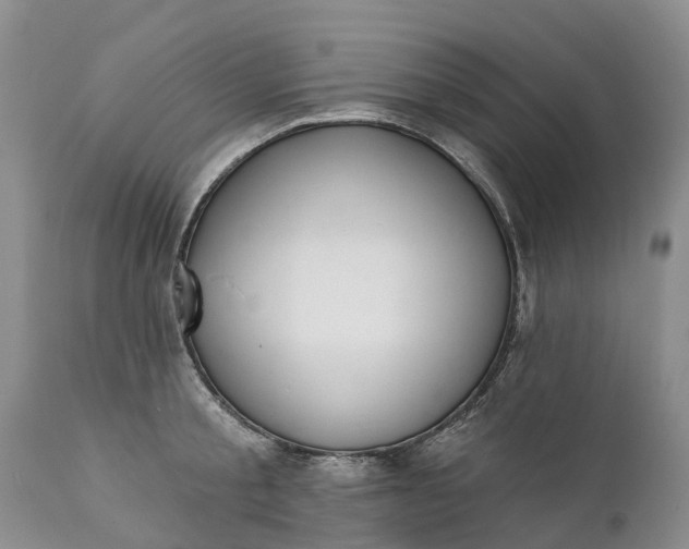 X0000111380805200907241308