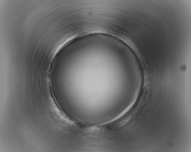 X0000111380806200907241308