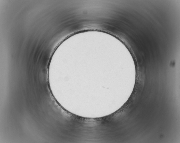 X0000111380807200907241308