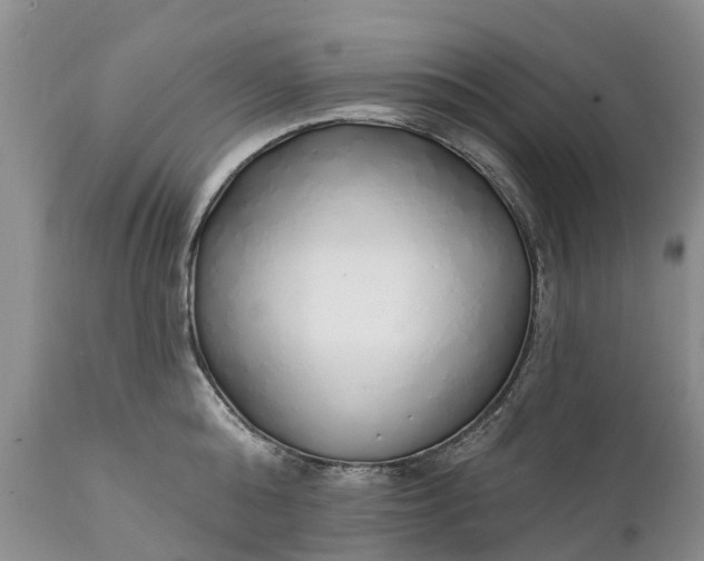 X0000111380808200907241308