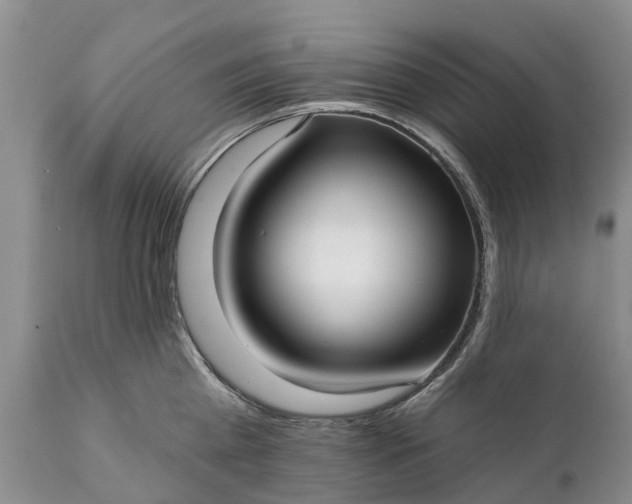 X0000111380809200907241308