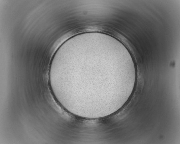 X0000111380810200907241308