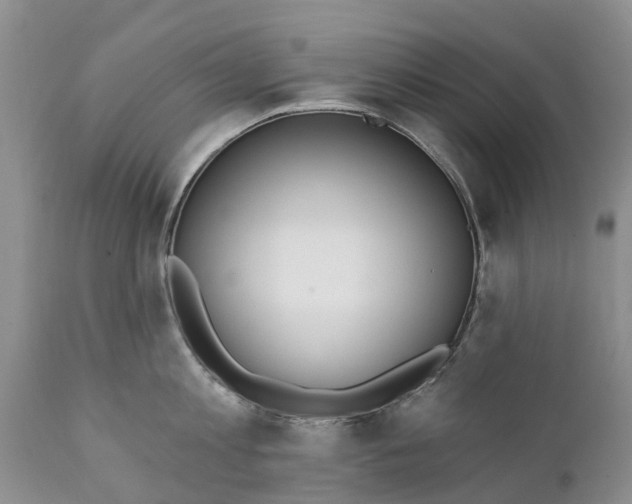 X0000111380813200907241308