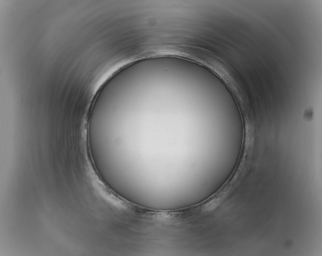 X0000111380814200907241308