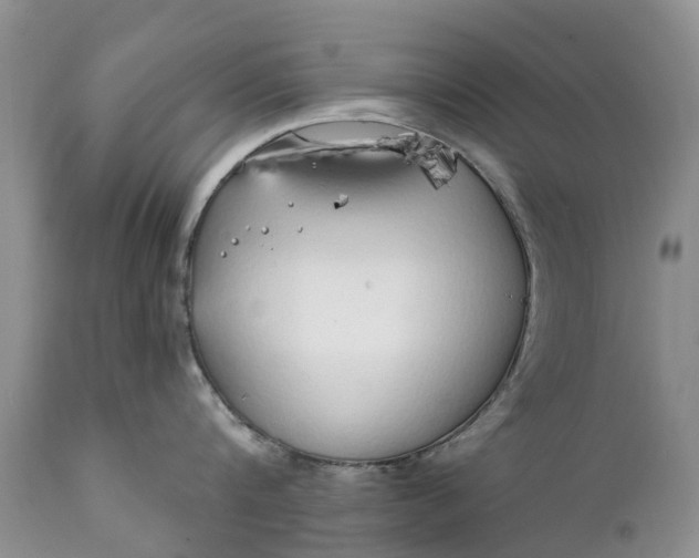 X0000111380816200907241308