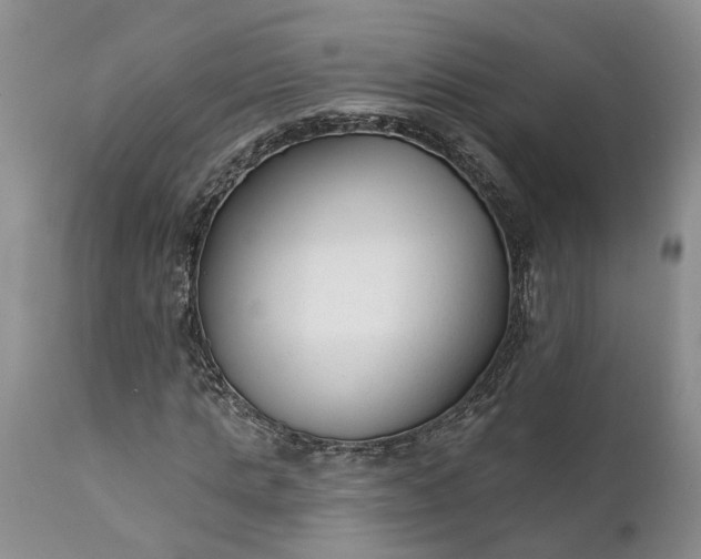 X0000111380821200907241307