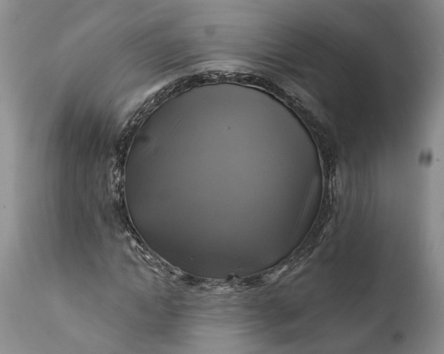 X0000111380822200907241307