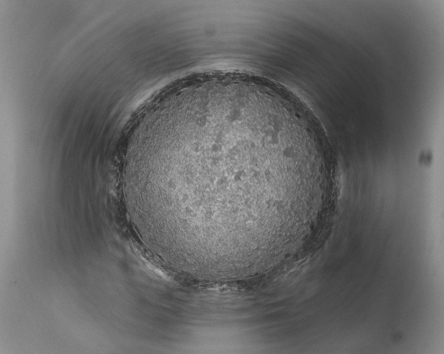 X0000111380823200907241307