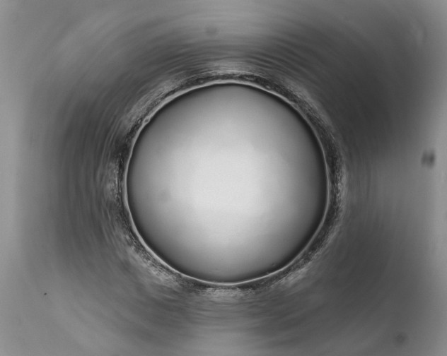 X0000111380825200907241307