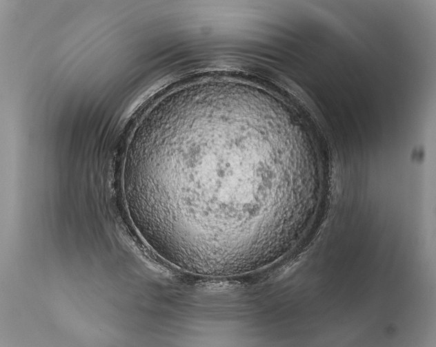 X0000111380826200907241307