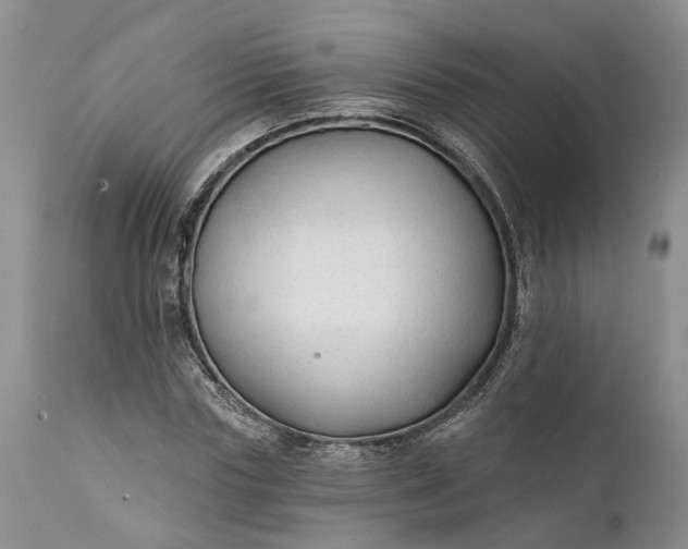 X0000111380827200907241307