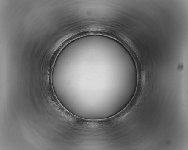 X0000111380829200907241307