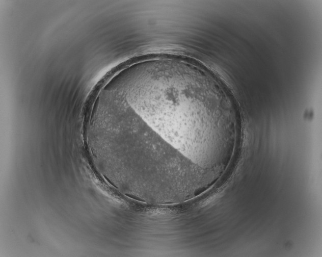 X0000111380830200907241307