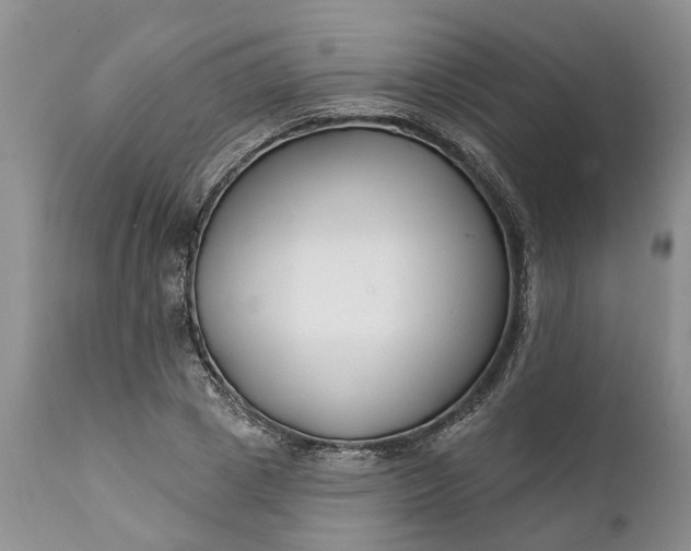 X0000111380833200907241308