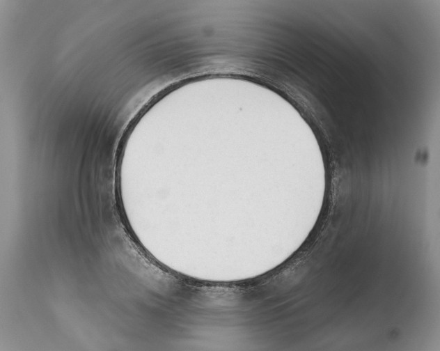 X0000111380836200907241308