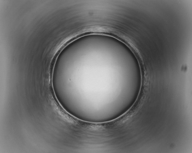 X0000111380837200907241308