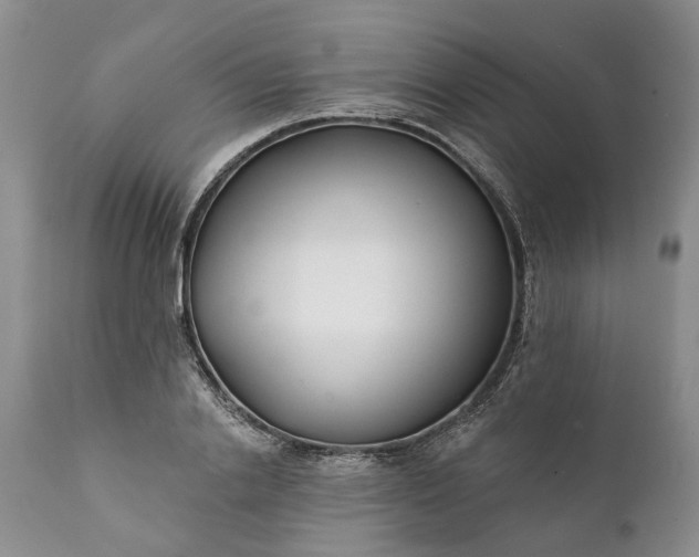 X0000111380838200907241308