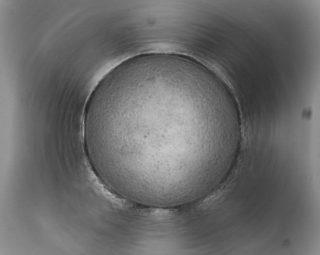 X0000111380839200907241308