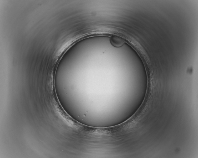 X0000111380842200907241308