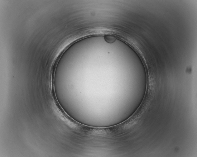 X0000111380843200907241308