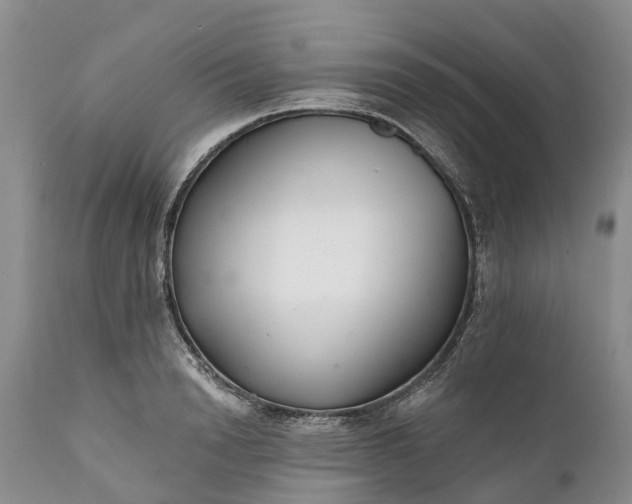 X0000111380846200907241308