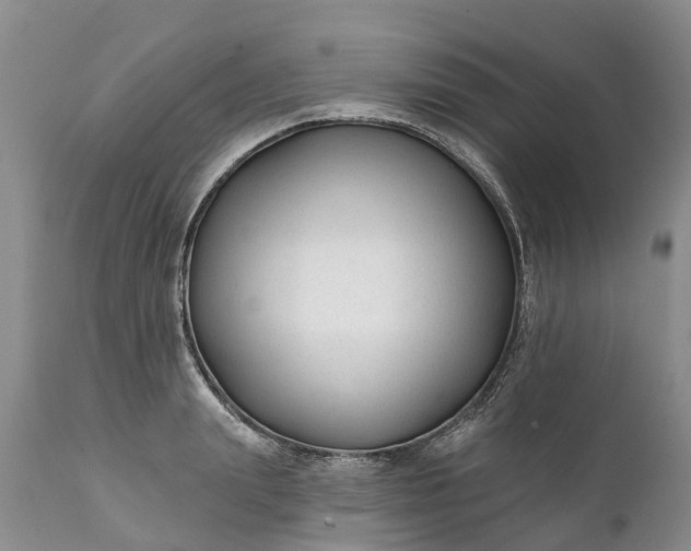 X0000111380847200907241308