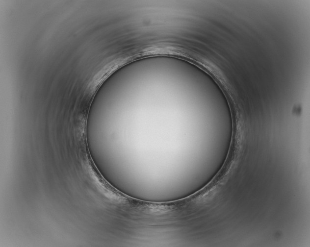 X0000111380849200907241308