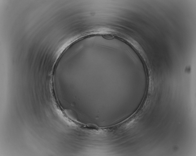 X0000111380850200907241308