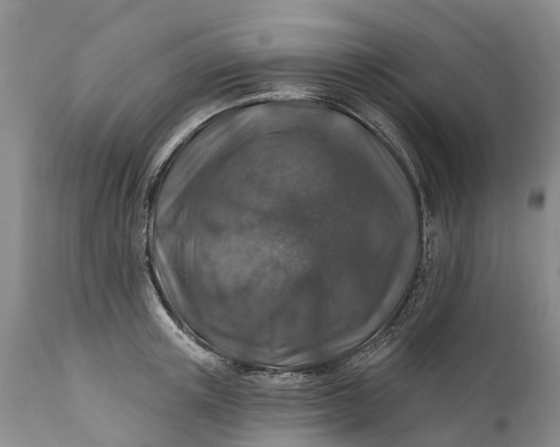 X0000111380851200907241308