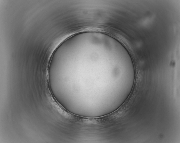 X0000111380852200907241308